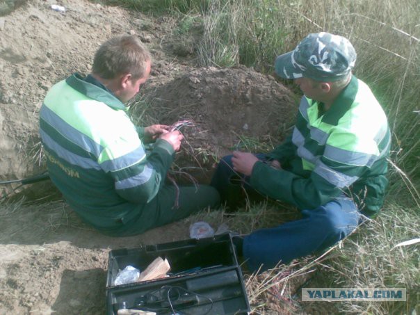 И в дождь и в грязь наша доблестная связь картинки
