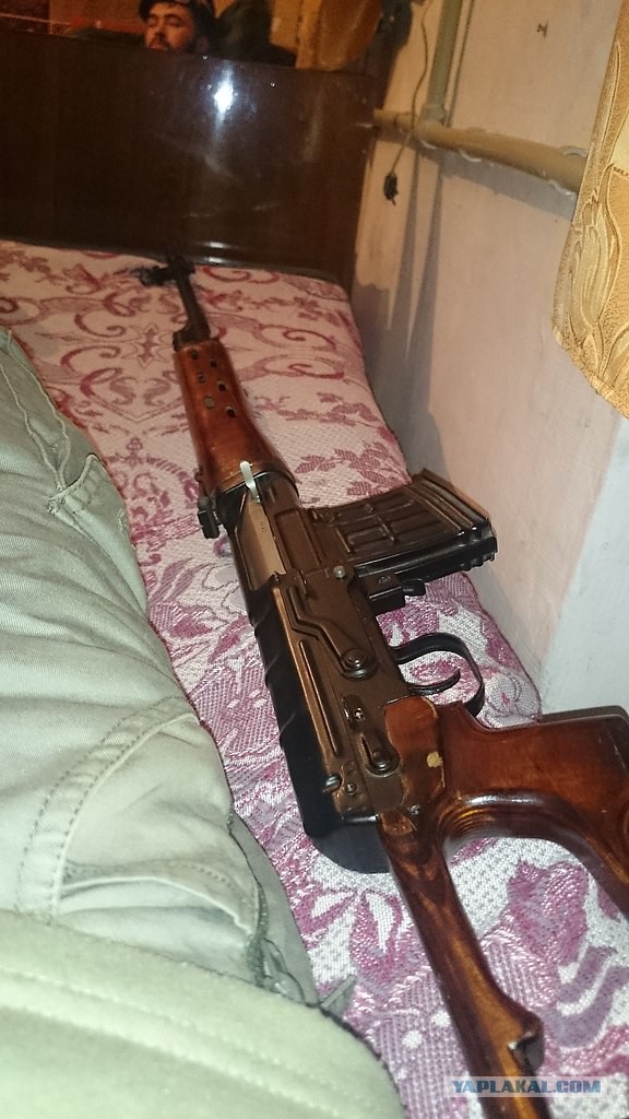 Привет ЯП из Донбасса