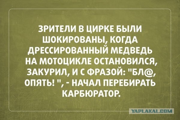 Веселые картинки