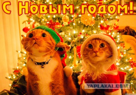 С Новым Годом, ЯП!