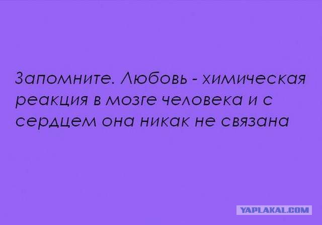 20 фактов обо всем