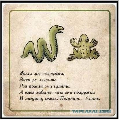 Кто из них нормальный?