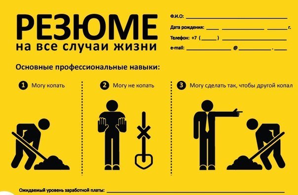 Как Катя работу искала