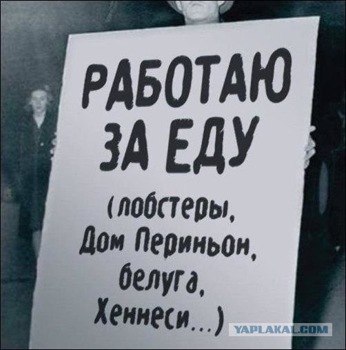 Надписи, таблички, маразмы