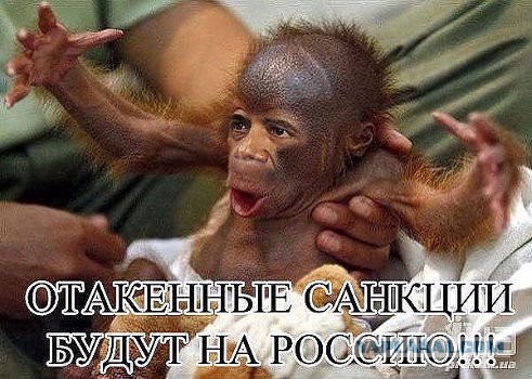 Россия запретила импорт цветов из Нидерландов