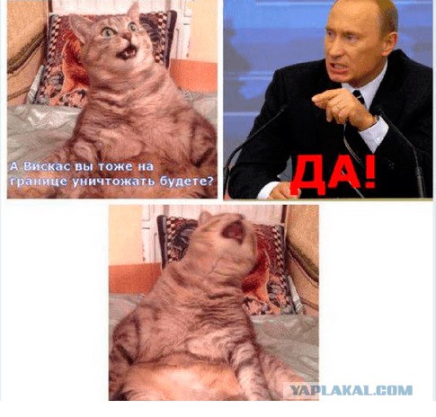 Публичная расправа над продуктами