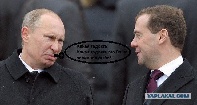 Почему он такое лицо скорчил?