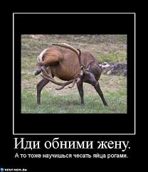 Почему я за версту обхожу девушек-ветеринаров