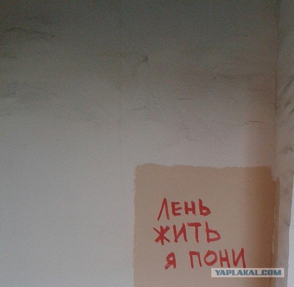Когда и стены учат Дзену