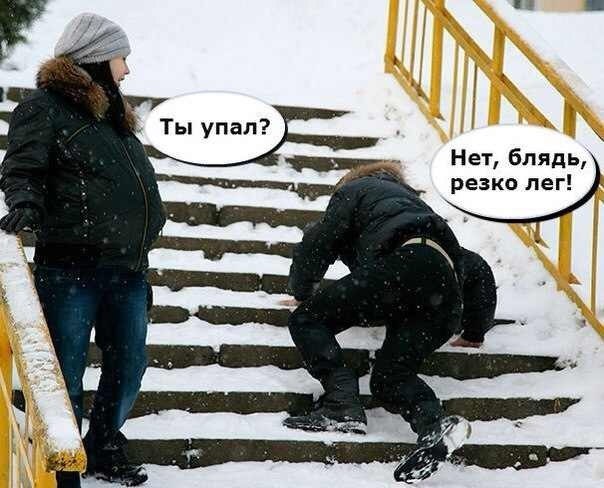 Приколы из сети