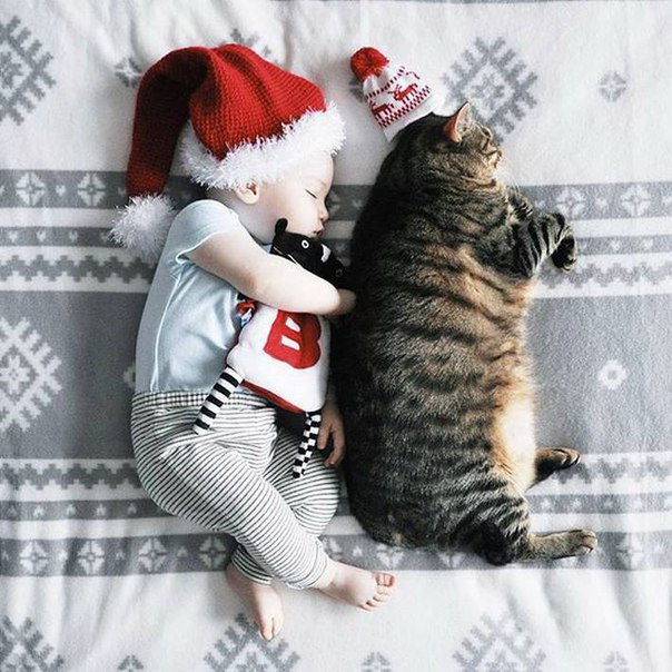 Разные картинки