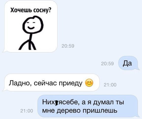 Картинки держи сосну