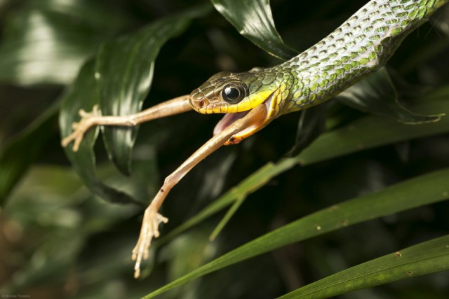 Больше, чем фото