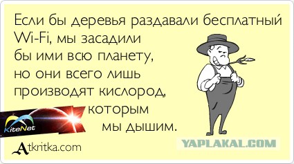 Зачем бывшему картежнику 20000 га земли. Проект Nokuse