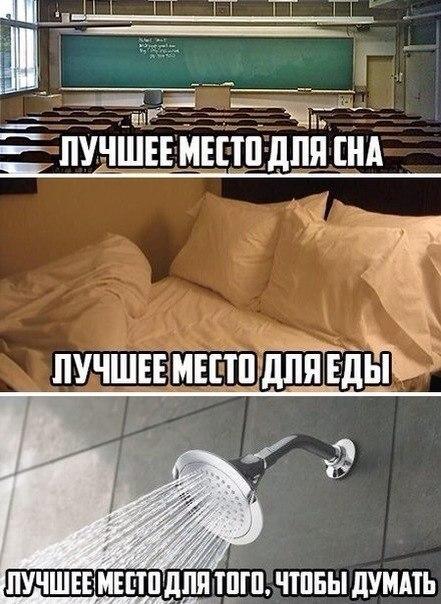 Интересные и веселые картинки