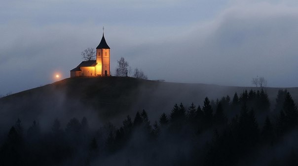 Интересные и веселые картинки