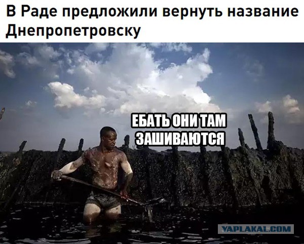 Смешные комментарии из социальных сетей 20.05.2016