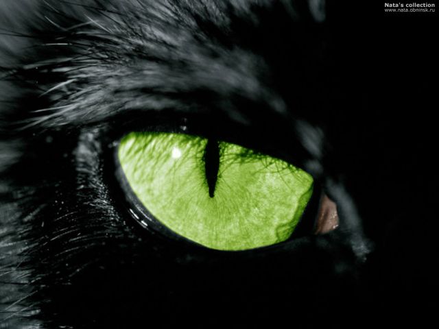 кошачий глаз