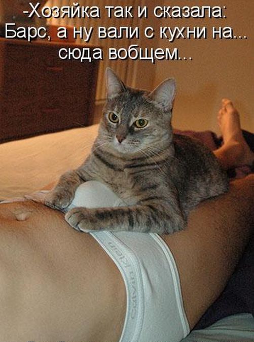 Когда в семье растет подлец
