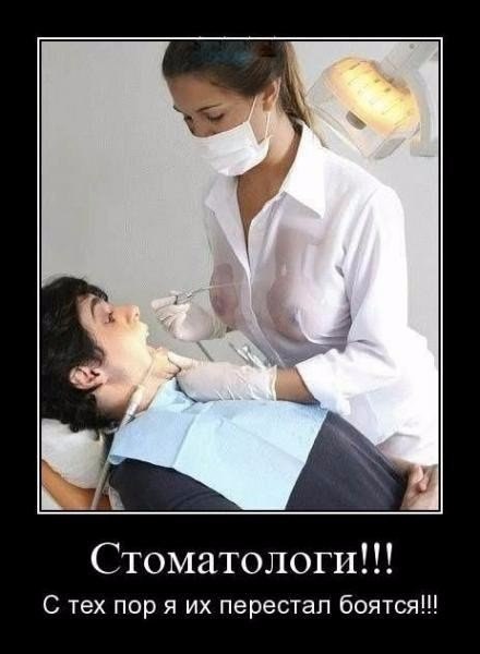 Порция картинок из сети
