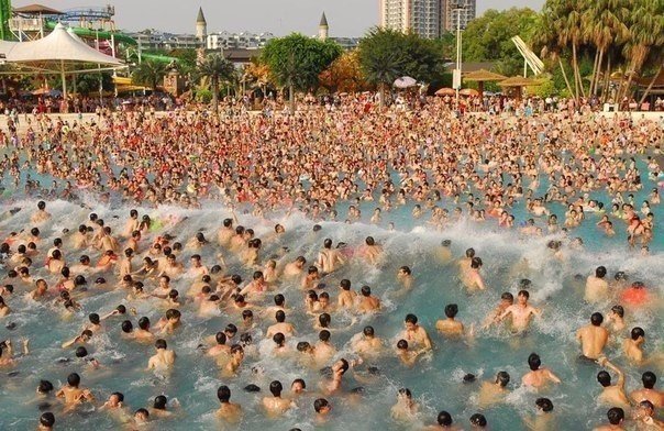 Подборка безудержного веселья