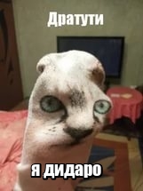 Разговор не задался с самого начала.