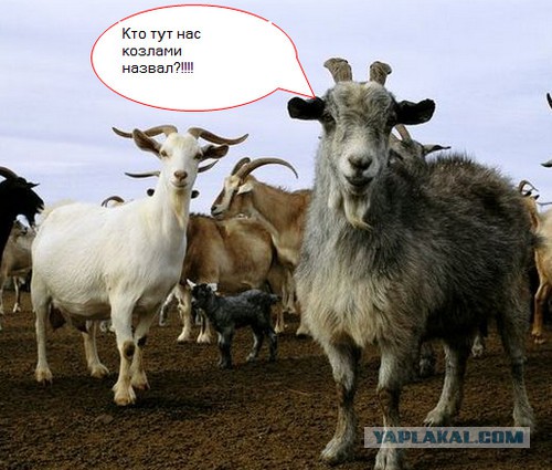 Что нужно человеку для счастья?