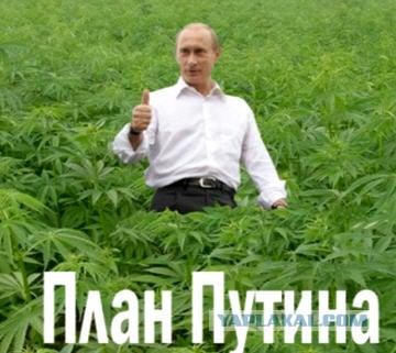 Путин рассказал о росте реальных доходов россиян