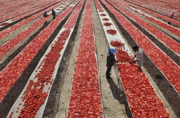Соусы НЕтрадиционной ориентации: что кладут в кетчуп враги России?