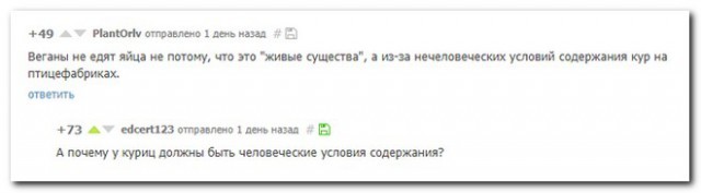 Забавные комментарии, шутки и фразы из этих ваших интернетов