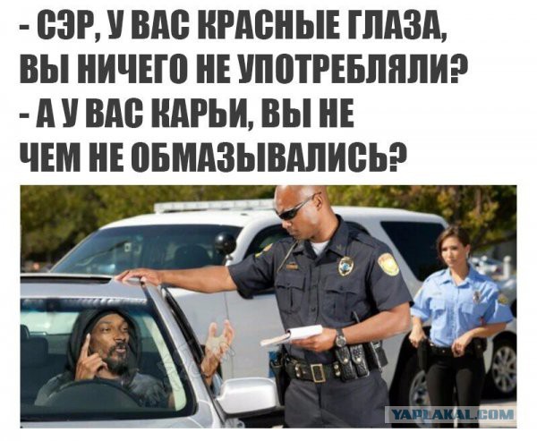 Приколы в стиле "регресс"