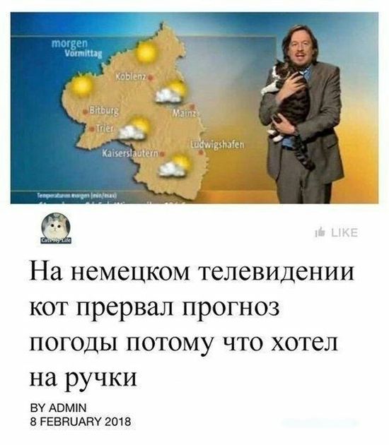 Подборка интересных и веселых картинок