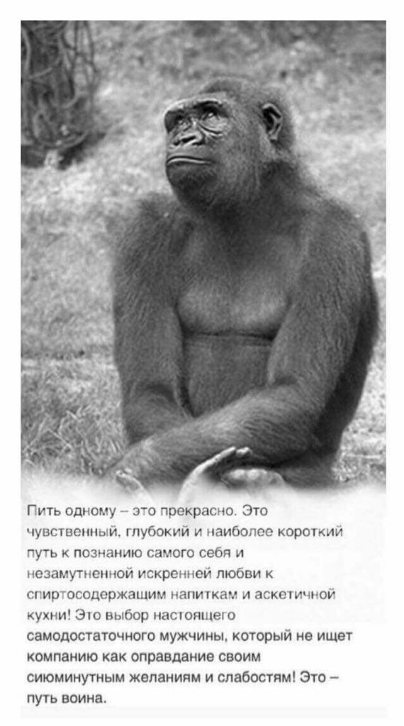 Перлы
