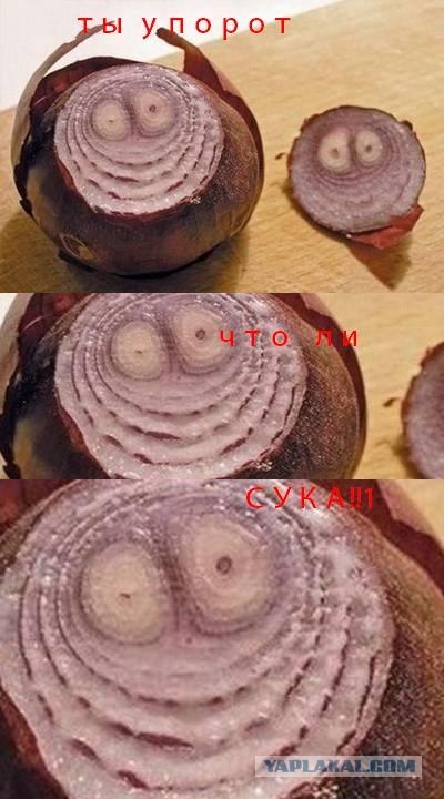 Да ты упоротый!