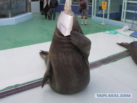 кто накуренный?