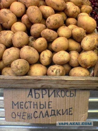 Осторожно! Мутация!