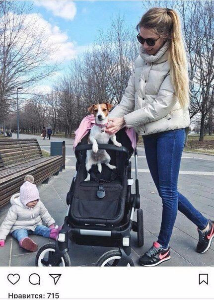 Выловлено в наших сетях