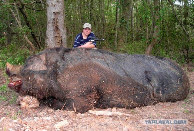 100 грамм сала