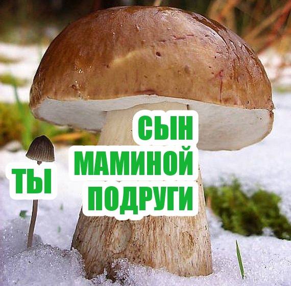 Дегенеративные и не очень картинки для умственно отсталых