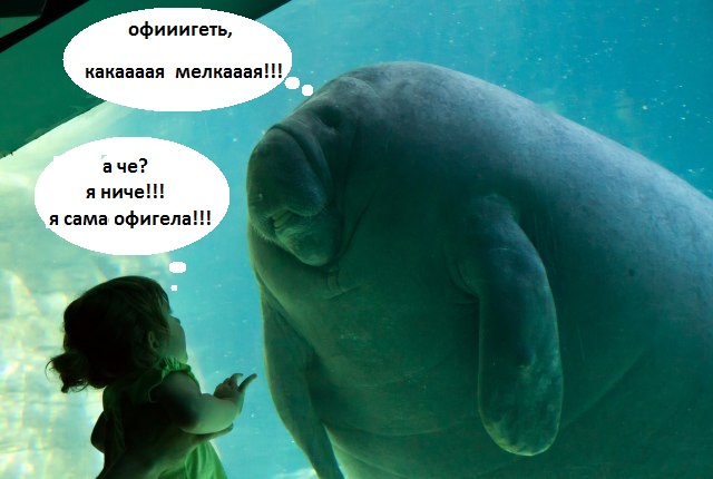 Первый контакт состоялся