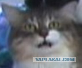 Только чистую постель застелил........