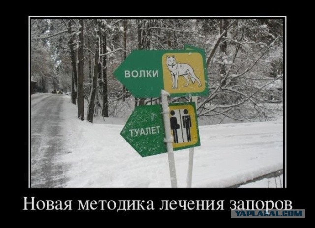 103 картинки для поднятия настроения!