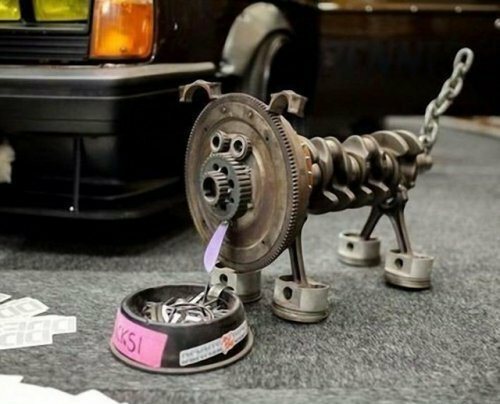 Подборка интересных и веселых картинок 14.03.19