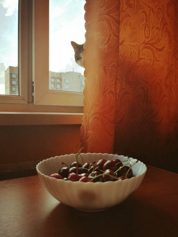 Просто 45 фоток