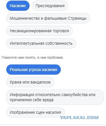 Помогите вернуть кота! Приют "Преданное сердце" украл кота и не отдает!-2