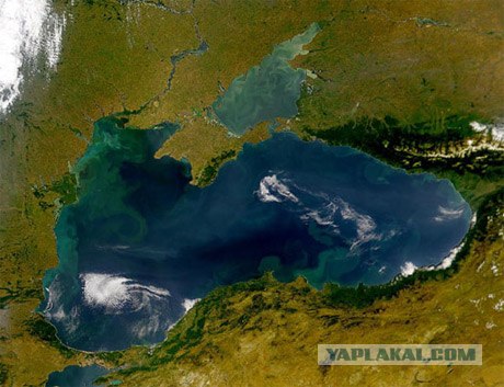 Море и мусор - его больше, чем кажется