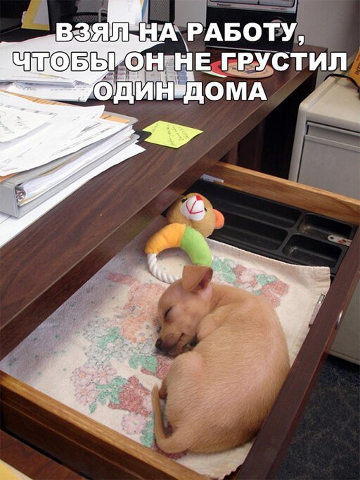 Картинок разных набралось