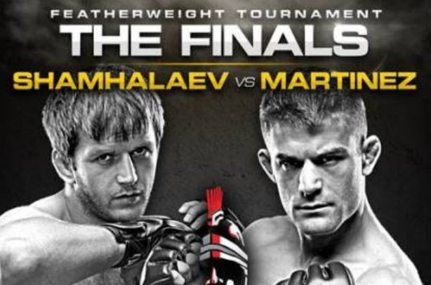 БОКС/MMA....