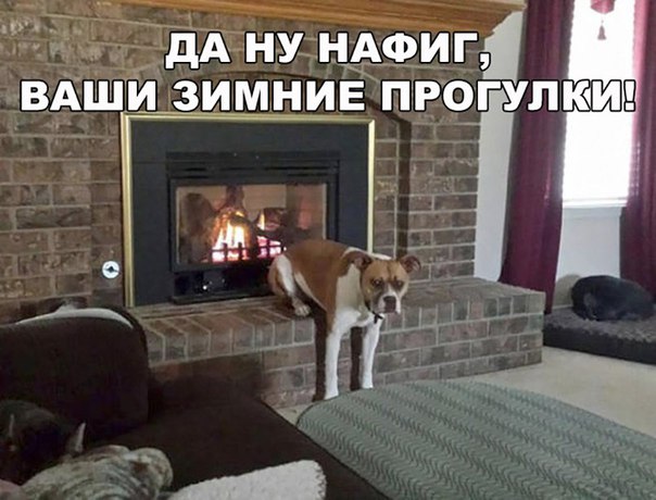 Немного картинок для настроения 12.02.20