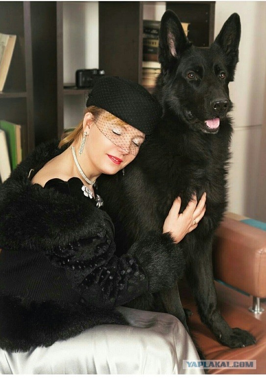 Немцы, смешные немцы